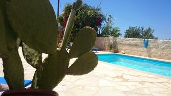 Prickly Pear Hotel Neo Chorio Exterior foto